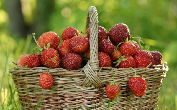 Ягоды огородные