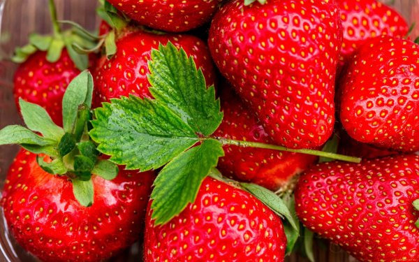 Лето клубника