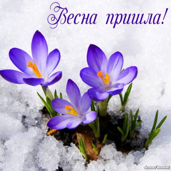 Открытки с первым днем весны