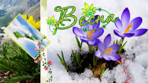 Первые цветы весны