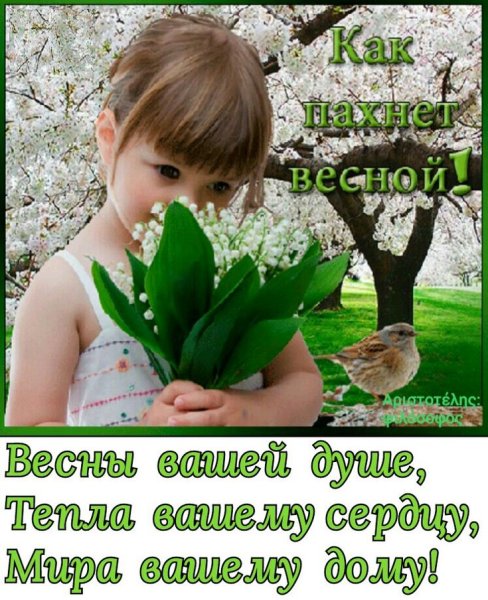 Февраль в ожидании весны