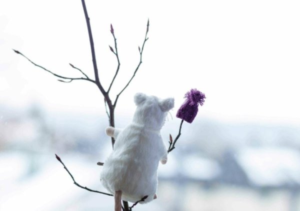 Хочется весны и тепла