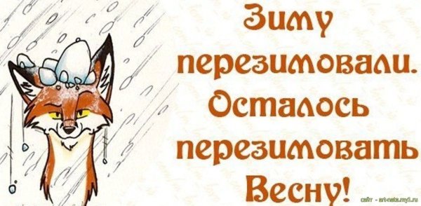 Зиму перезимовали осталось перезимовать весну прикольные