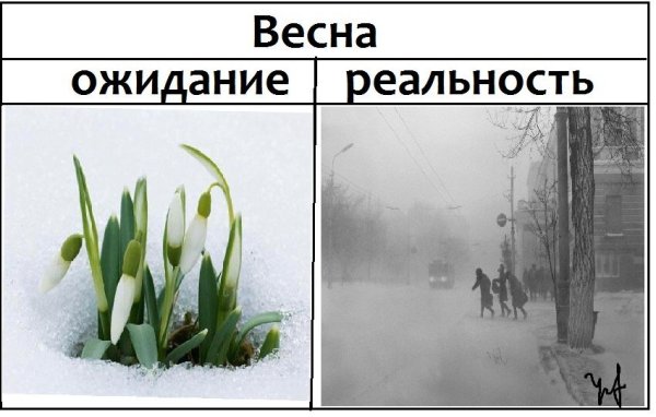 Весна ожидание реальность