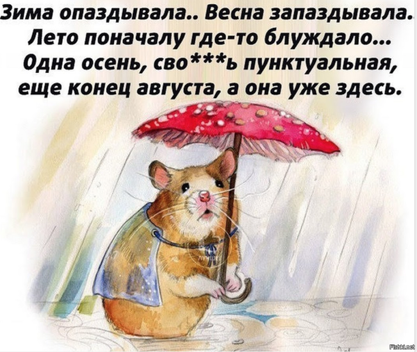 Хомяк с зонтиком