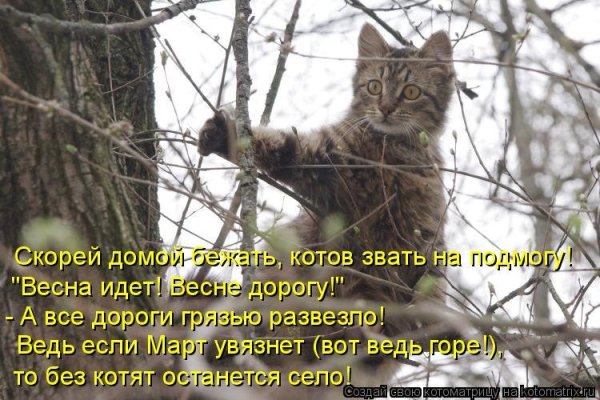 Весна идёт весне дорогу прикол