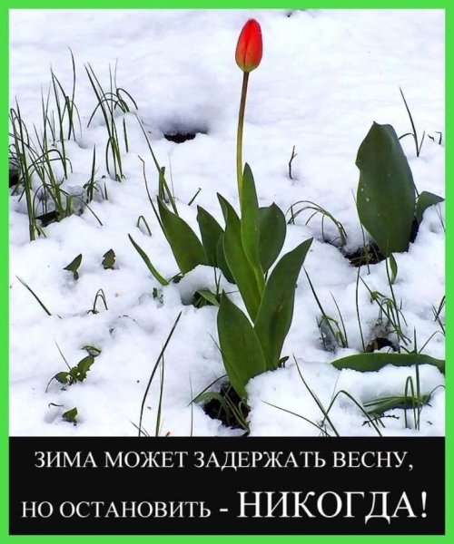 Весенний юмор