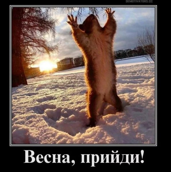 Приколы про зиму и весну