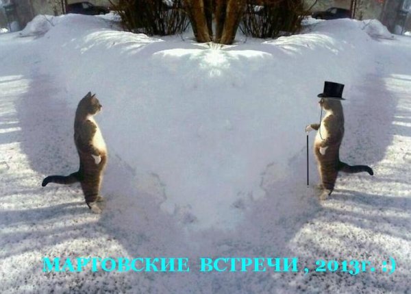 Первый день весны прикол