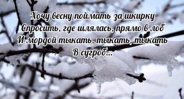 Первый день весны прикол