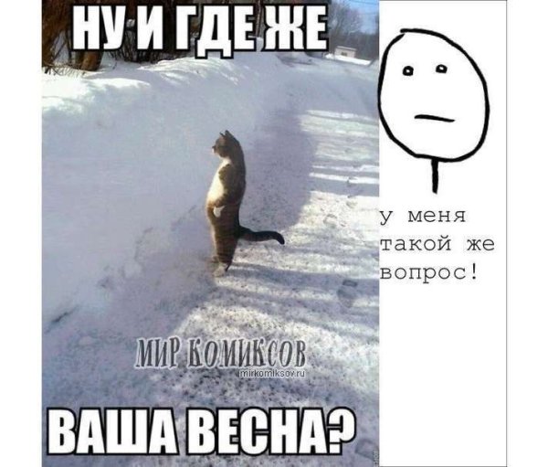 Весна холодно