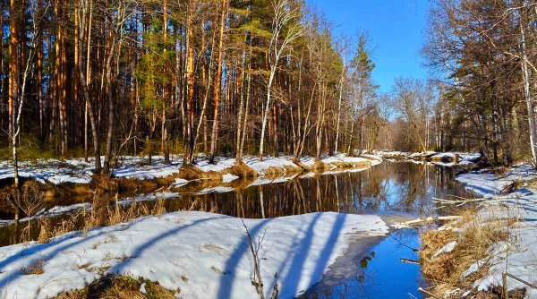 Прекрасная Весна