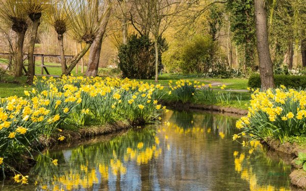 Весна в лесу