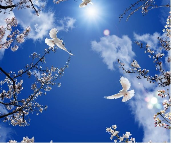 Голуби в небе