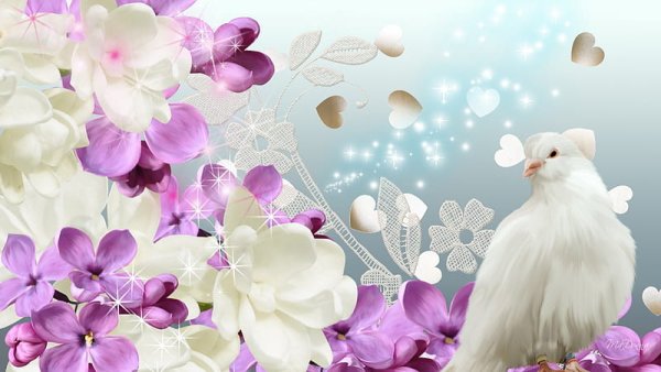 Голубое небо с голубями