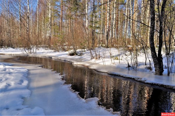 Карелия март природа