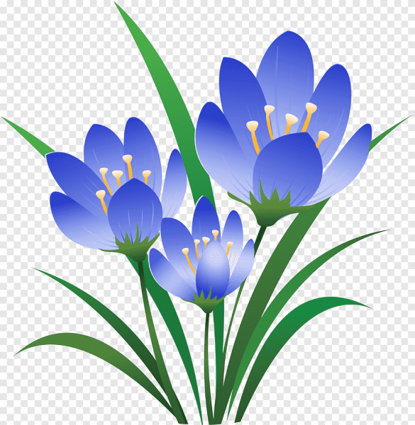 Подснежник для детей