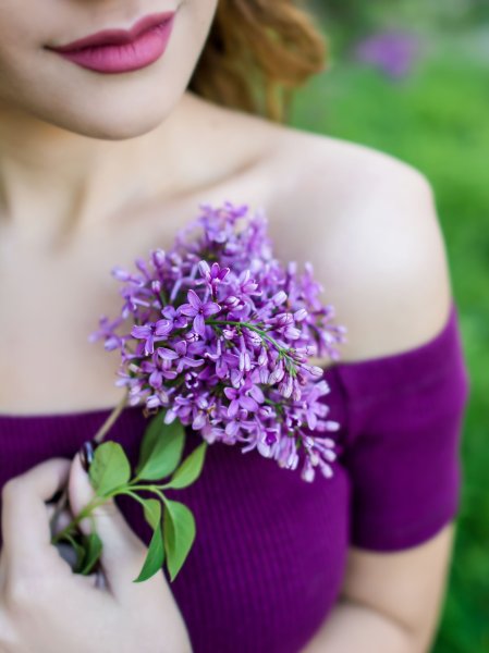 Глициния Асикага