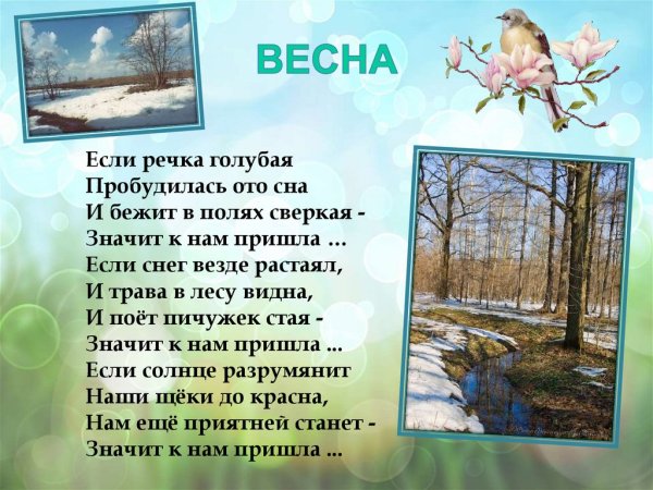 Весенний лес для детей