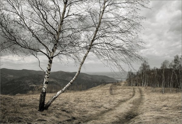 Серый весенний пейзаж