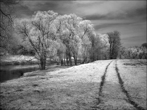 Весна серость