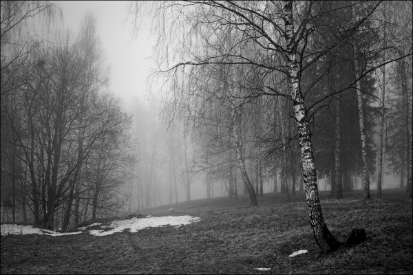 Пасмурная Весна