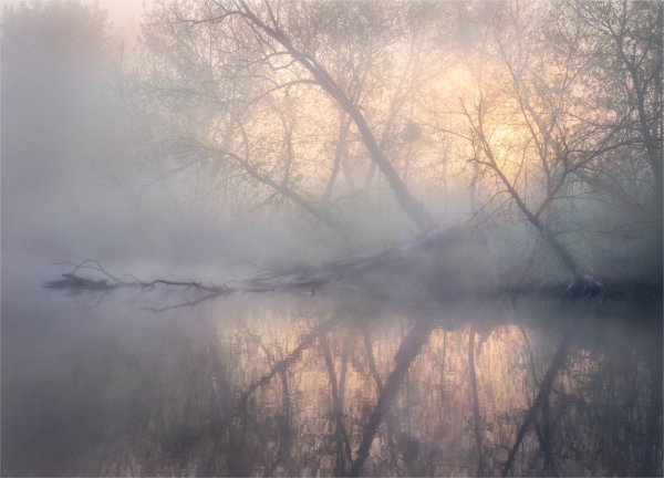 Туманный день