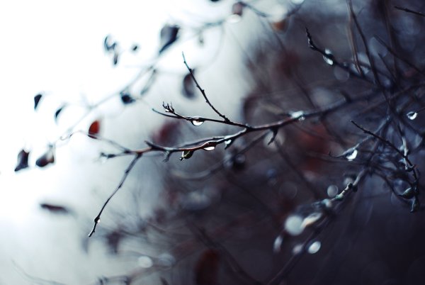 Грустный фон