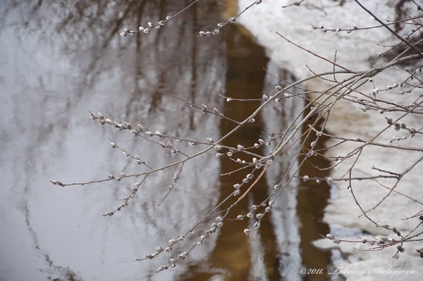Весенний серый игр