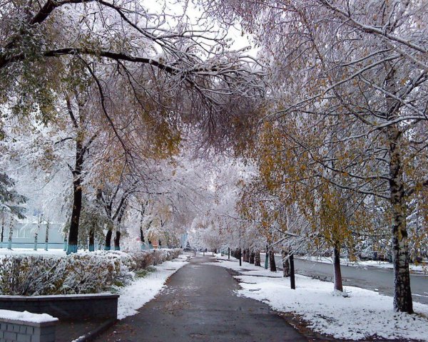 Осень снег