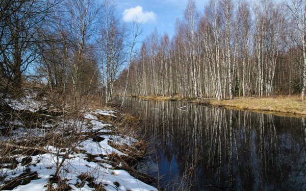 Дождливый летний день