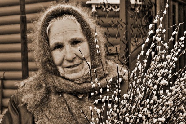 Бабушки продают вербу