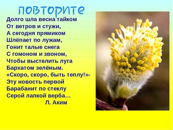 Весенние месяцы для детского сада