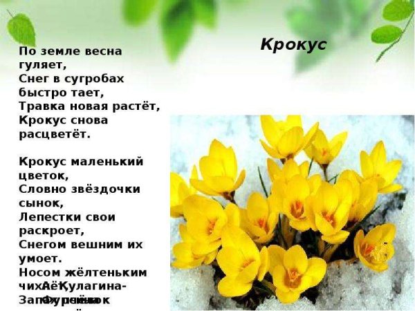Стихи о весне картинки
