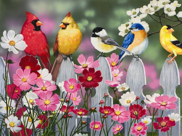 Поляна с цветами