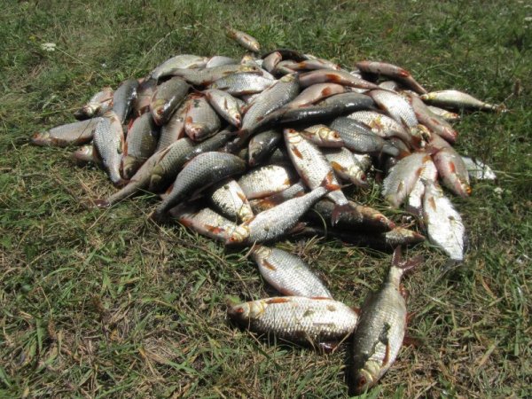 Аршань-Зельменский водохранилище