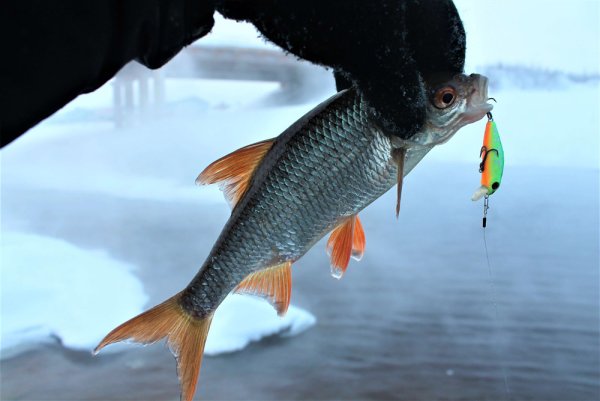 Весенняя рыбалка