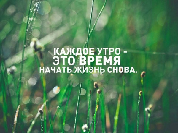 Утренние мотиваторы