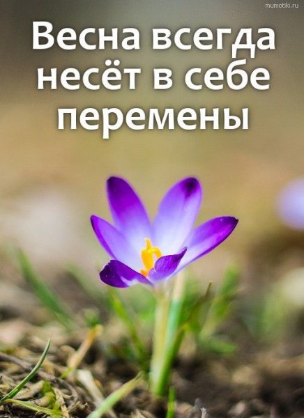 Весна мотиватор