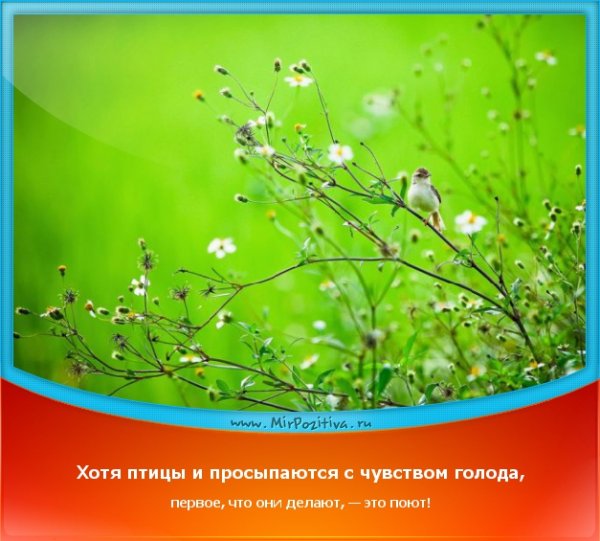 Перемены к лучшему