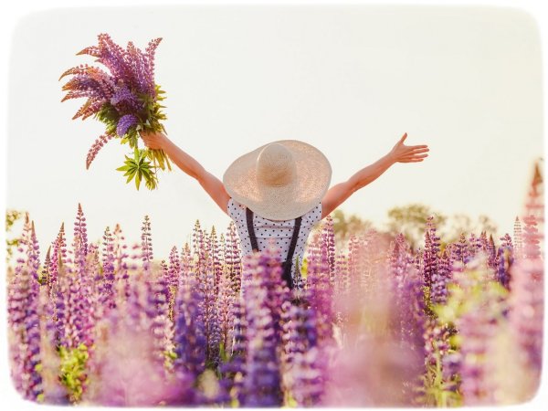 Утренние мотиваторы