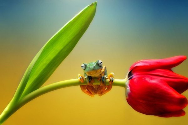 Мотивирующие цитаты