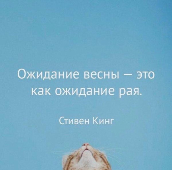 Высказывания про дождь