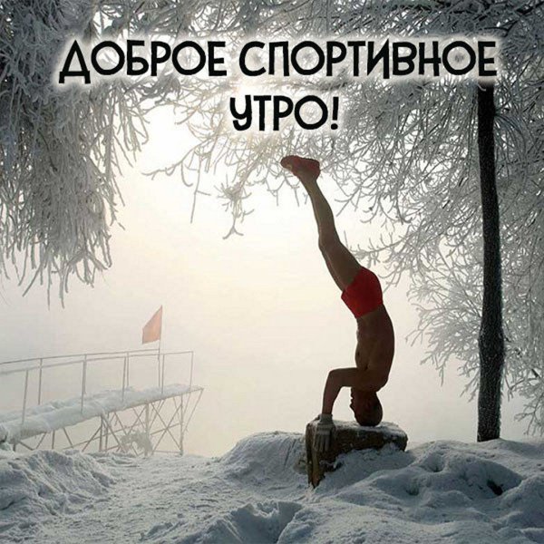 Афоризмы про силу воли