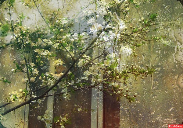 Весна в окно стучится