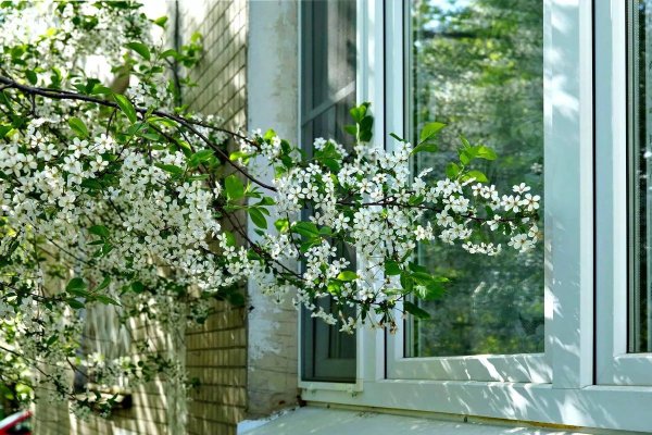 Игорь Зенин Весна