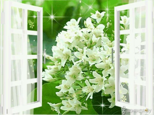 Весна стучит в окошко