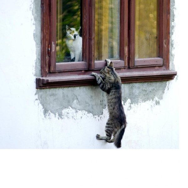 Осень стучится в дверь