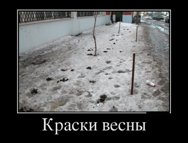 Весна юмор картинки
