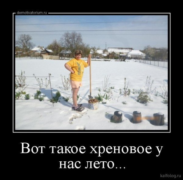 Смешные высказывания в картинках про погоду